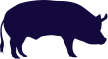 picto-porc